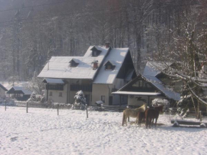 Гостиница Apartments Gubanec, Церклье
